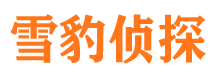 锡山调查公司